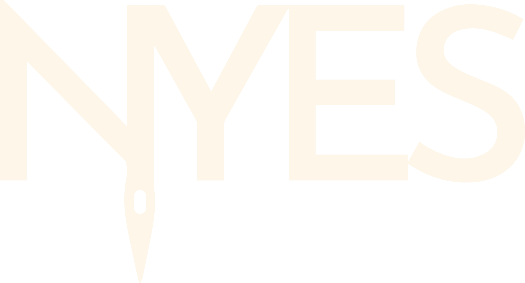 NYES Logo