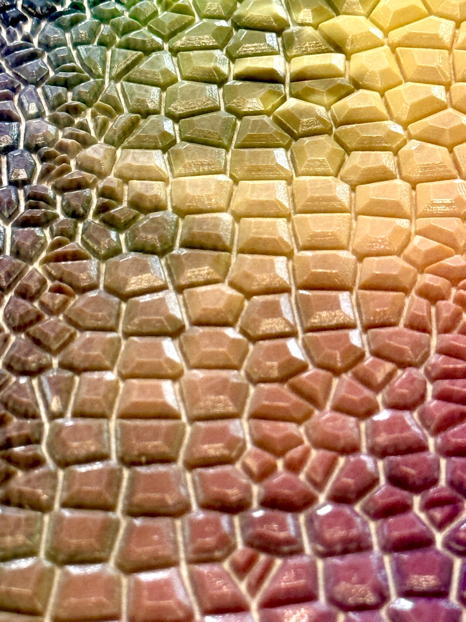 Rainbow reptile-texture surface.
