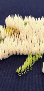 Close-up of textured embroidery in cream, yellow, and green threads on a dark navy background, resembling a brushstroke pattern.