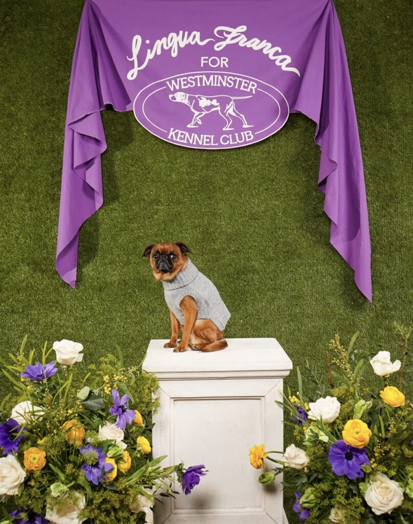 Chain stitch embroidery in white thread executed at scale for a custom event banner.