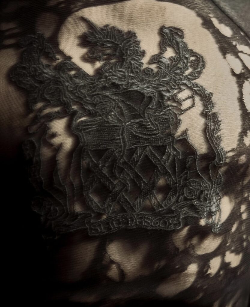 embellished bodice with graphic motif